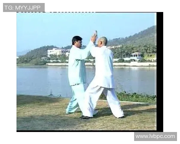 赵堡和式太极拳的历史传承与现代发展探讨