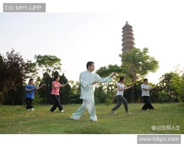 太极练气的奥秘与技巧探索，助你提升内功与身心和谐