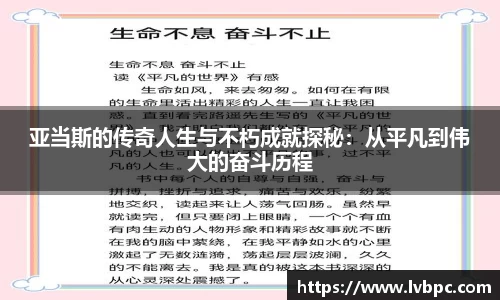 芒果体育官网入口